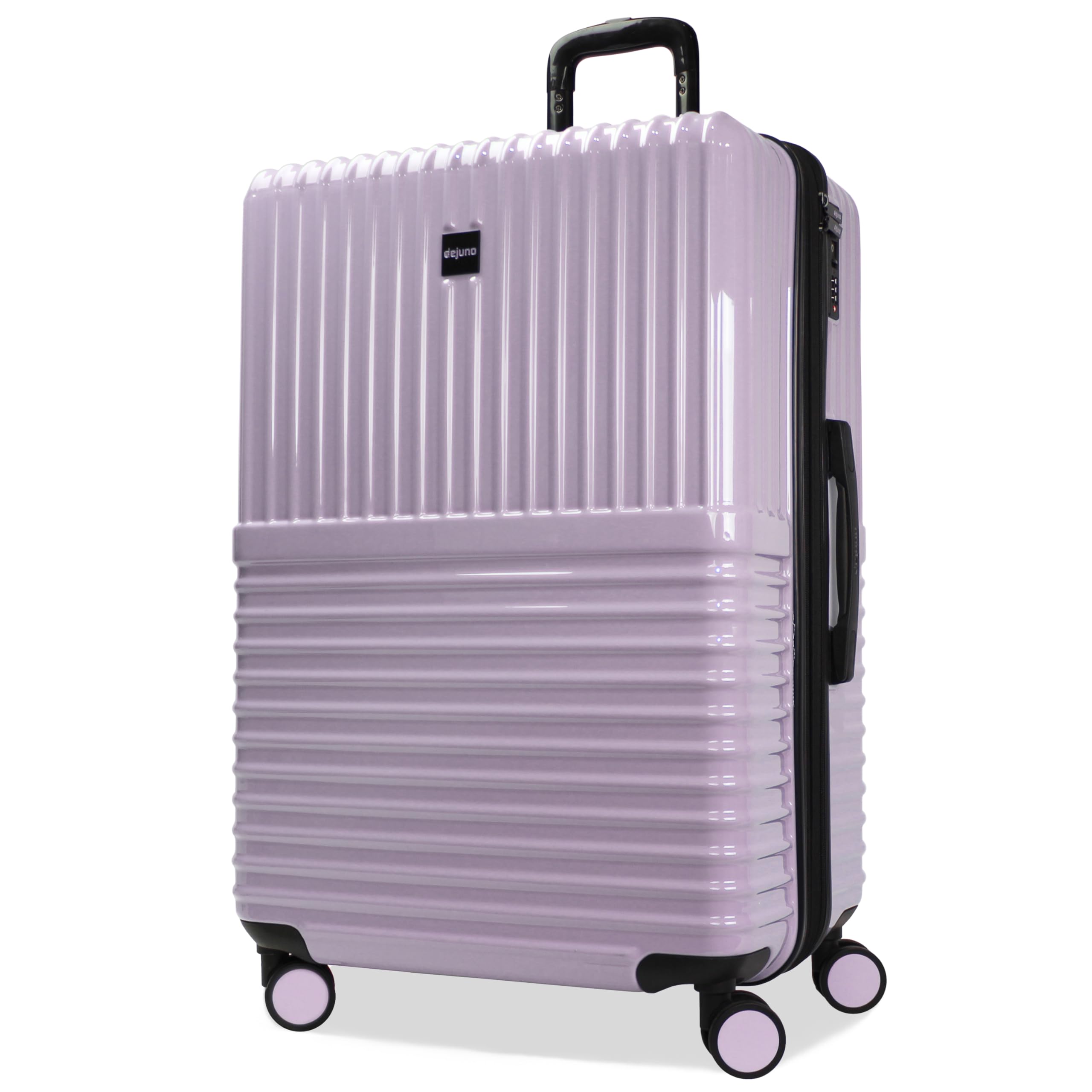 Checked Luggage